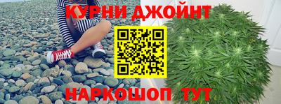 стаф Аргун