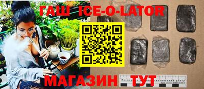 стаф Аргун